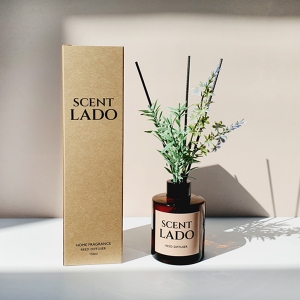 ¼¾Æ®¶óµµ µðÇ»Àú ·ÎÁî¶óº¥´õ 150ml