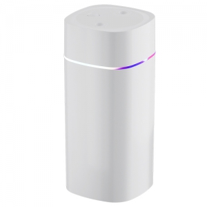 600ml ¹Ì´Ï ¹«µåµî °¡½À±â TG-GASUEP3