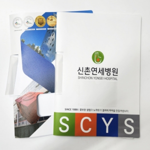 ¿øÅ¬¸³ ÈÀÏ(·¹¹ö ÈÀÏ)