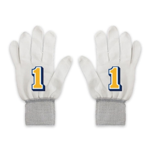 ¹ÎÁÖ´ç ¼±°Å Àå°©-1