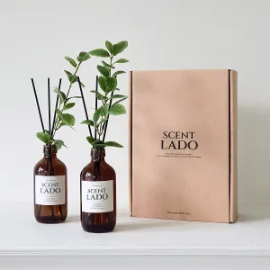��Ʈ�� ��ǻ�� �׸������� 200ml 2P ��Ʈ