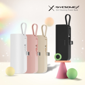 ¾î½æ¿¢½º  2in1 µµÅ·Çü º¸Á¶¹èÅ͸® 5000mAh (CŸÀÔ/8ÇÉ)