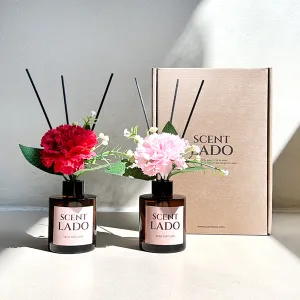 ��Ʈ�� ��ǻ�� ����ī���̼� 150ml 2P ��Ʈ