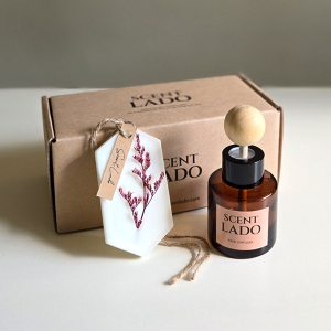 ¼¾Æ®¶óµµ ¹Ì´Ï Â÷·®¿ë µðÇ»Àú 50ml+°íü¹æÇâÁ¦ ¿Î½ºÅ¸ºí·¿ ¼¼Æ®