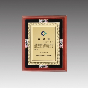 ÀÌŸ®ÆÇ ³ª¹«»óÆÐ_G4346