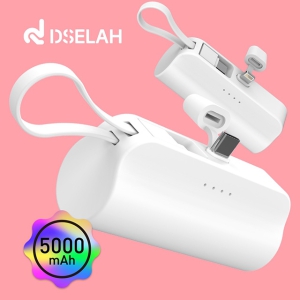 desleah µð¼¿¶ó 5000mAh 2 in 1 ¹Ì´Ï µµÅ·Çü º¸Á¶¹èÅ͸®