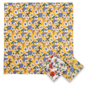 °¡Á¦ ½ºÄ«ÇÁ ¹Îµé·¹