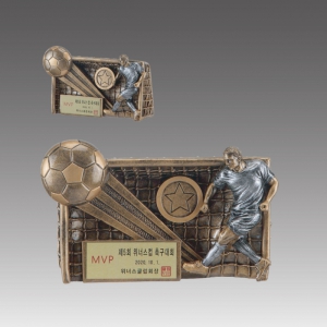 ·¹Áø Æ®·ÎÇÇ(Ã౸)_G5050