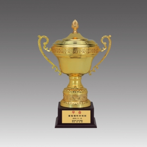 ±Ý¼ÓÄÅÆ®·ÎÇÇ(¸ÞÀÌÁ®ÄÅ)_G6002