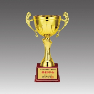 ±Ý¼ÓÄÅÆ®·ÎÇÇ(ºóü·ÎÄÅ)_G6009-B