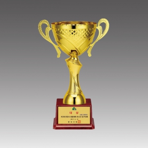 ±Ý¼ÓÄÅÆ®·ÎÇÇ(±×¶õÅ×ÄÅ)_G6012-B