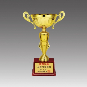 ±Ý¼ÓÄÅÆ®·ÎÇÇ(·¹ÄÚµåÄÅ)_G6013-A