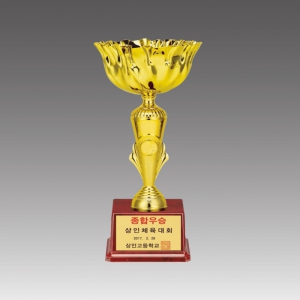 ±Ý¼ÓÄÅÆ®·ÎÇÇ(º¸³ªÅ¸ÄÅ)_G6016-B