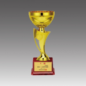 ÇÃ¶ó½ºÆ½ ÄÅ Æ®·ÎÇÇ(ÇÇ¿À·¹ÄÅ)_G6019-C