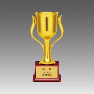 ÇÃ¶ó½ºÆ½ ÄÅ Æ®·ÎÇÇ(¸ÅÄ¡ÄÅ)_G6020 A,B,C