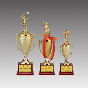 ÇÃ¶ó½ºÆ½ ÄÅ Æ®·ÎÇÇ(º£½ºÆ®ÀÎÇüÄÅ)_G6031-B.C / Á¾¸ñÀÎÇü¼±ÅÃ