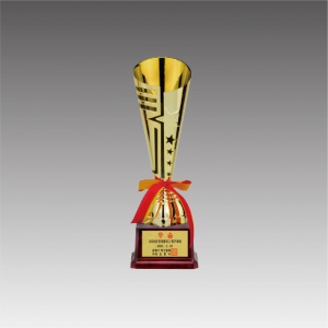 ÇÃ¶ó½ºÆ½ ÄÅ Æ®·ÎÇÇ(Ç︮ÄÅ)_G6035-A,B,C