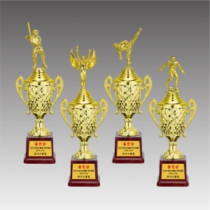 ÇÃ¶ó½ºÆ½ ÄÅ Æ®·ÎÇÇ(´ÙÀ̾ÆÄÅ)_G6039-A,B,C / Á¾¸ñÀÎÇü¼±ÅÃ