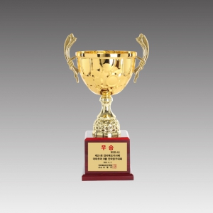 ÀÌŸ® ¼öÀÔÄÅ(Ŭ·ÎÁ¦ÄÅ)_G6204-C