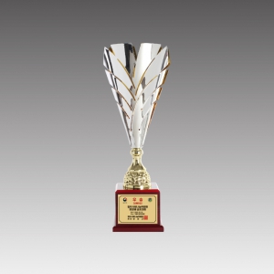 ÀÌŸ® ¼öÀÔÄÅ(Ç÷¹ÀÓÄÅ)_G6206-C