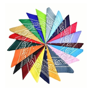 ´ëÇü ÆäÀÌÁñ¸® ¹Ý´Ù³ª/¼Õ¼ö°Ç