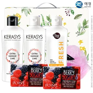 애경 케라시스샴푸180용기 린스180용기 샤워메이트 포인트베리비누2P 샤워볼(6종) | 샴푸 바디워시 판촉물 제작