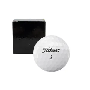 Ÿ��Ʋ����Ʈ PRO V1 1����Ʈ