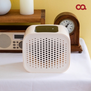 ¿À¾Æ O2 ¹Ì´Ï ¼ÒÇü °ø±âûÁ¤±â