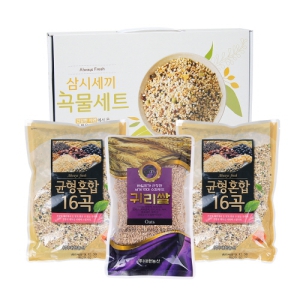 µµ±â¾ß »ï½Ã¼¼³¢ 3Á¾ ¼¼Æ®