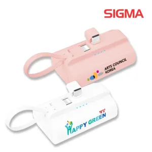�ñ׳� ��� 10,000mAh ��ŷ�� �������͸� CŸ�� 8�� ��ü��