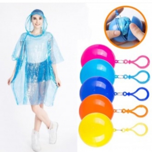 °í¸® °ø¸ð¾ç ¿ìºñ ¿ìÀÇ ºñ¿Ê