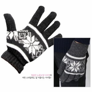 °Ü¿ï¿ë ´«²É Àå°©