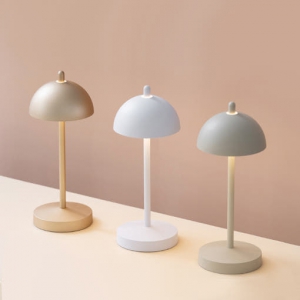 Ç÷£·è½º ¼¼¸£³× ¹«¼± LED ¹Ì´Ï ¹«µåµî (ÈÀÌÆ®/Å©¸²/°ñµå)