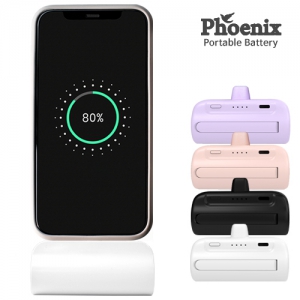 ÇǴнº CŸÀÔ µµÅ·Çü º¸Á¶¹èÅ͸® 5,000mAh ÀÏüÇü