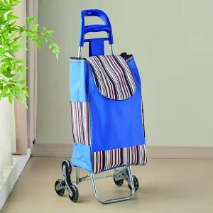 (Blossom) �ٹ������� ����īƮ ����ĳ����