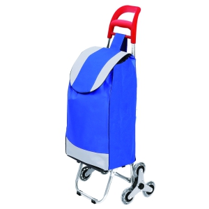 (Blossom) ÅõÅæ ¼îÇÎīƮ ½ÃÀåij¸®¾î 1P