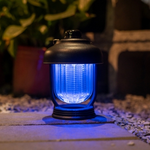 ¹ø°³Ç¥ ¸ð±âÅðÄ¡ Ä·Çη£ÅÏ