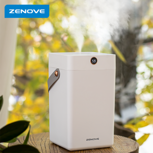 Á¦³ëºê ÀÌÁö¸®ÇÊ µà¾ó °¡½À±â C313