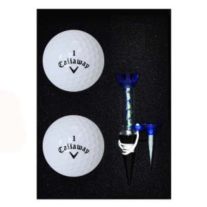 Ķ·¯¿þÀÌ CXRÄÁÆ®·Ñ 2±¸ ÀÚ¼®Æ¼-3Çǽº