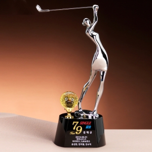 Å©¸®½ºÅ» ¸ÞÅ» °ñÇÁ Æ®·ÎÇÇ SAM24T060