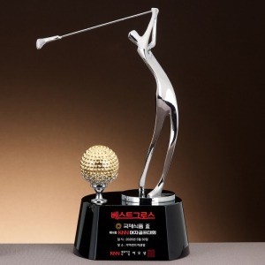 Å©¸®½ºÅ» ±Ý¼Ó Æ®·ÎÇÇ SAM24T018