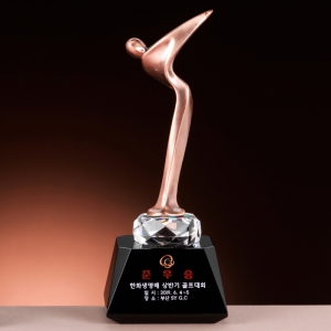 Å©¸®½ºÅ» ±Ý¼Ó Æ®·ÎÇÇ SAM24T067