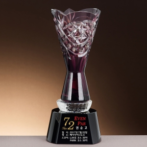 Å©¸®½ºÅ» ÆÛÇà ÄÅ Æ®·ÎÇÇ SAM24T083