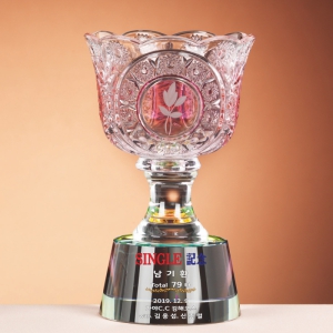 Å©¸®½ºÅ» ÄÅ Æ®·ÎÇÇ SAM24T104