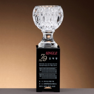 Å©¸®½ºÅ» Ÿ¿ø ÄÅ Æ®·ÎÇÇ SAM24T115