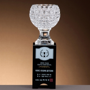 Å©¸®½ºÅ» ¿øÇü ÄÅ Æ®·ÎÇÇ SAM24T116