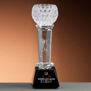 Å©¸®½ºÅ» ¿øÇü ÄÅ ·¹ÀÌÀú Æ®·ÎÇÇ SAM24T117