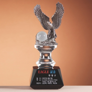 ÀÌ±Û ±Ý¼Ó Æ®·ÎÇÇ SAM24T126