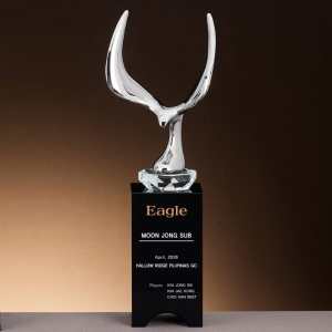 ÀÌ±Û ±Ý¼Ó Æ®·ÎÇÇ SAM24T129