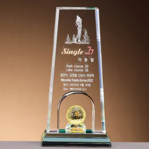 ũ����Ż Ʈ���� SAM24T210